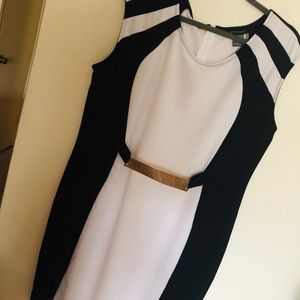 Black & White Fitted Dress ((Size 22/24))
